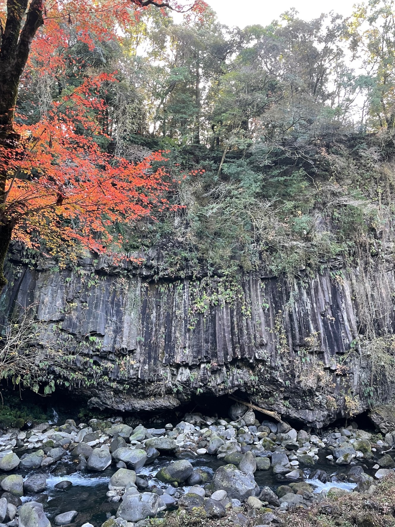 霧島神水峡柱状節理